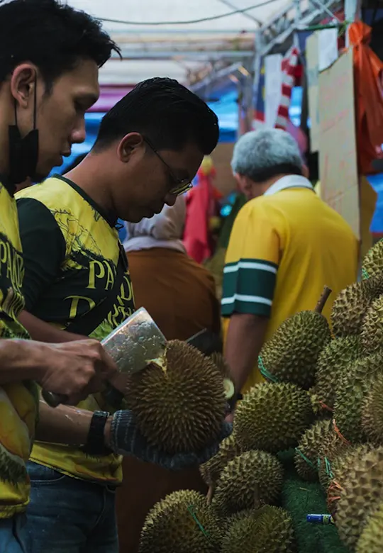 Pakdo Durian - Dunia Durian Sangat Kejam